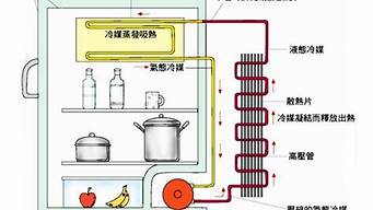 冰箱制冷原理物理知识_冰箱制冷原理物理知识总结